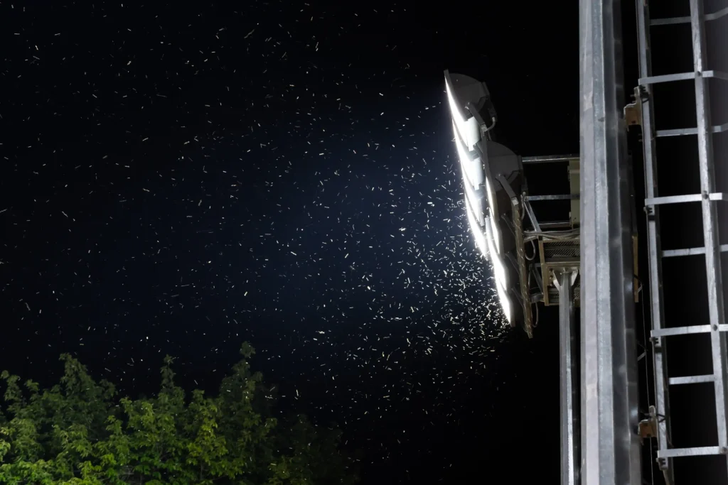 floodlight installation